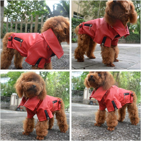 Lovelonglong Cool Dog Leather Jacket, Warm Windproof Coats for Large Medium Small Dogs, Red XXL