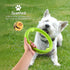 Dog Chewing Ring - Soft Rubber Dental Chewing Toy for Small and Medium Dogs, 10", Green