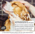 The Stuff Leave-in Dog Conditioner and Detangler Spray, 12oz Concentrate 15:1 for Matted Dog Hair