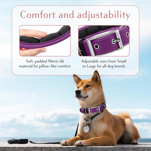 Comfort Fit Dog Collar - Soft Padded Adjustable Buckle Collar, Lightweight, Durable - Purple, Large