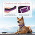 Comfort Fit Dog Collar - Soft Padded Adjustable Buckle Collar, Lightweight, Durable - Purple, Large