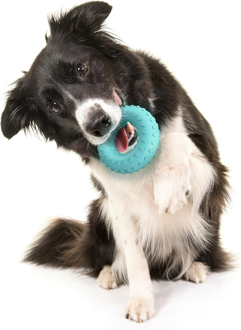 Playology Durable Dog Toys Dual Layer Ring Chew Toy, Peanut Butter Scented Blue Toy for Medium Dogs