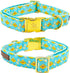 Elegant Little Tail Easter Day Dog Collar with Bow, Chicken Eggs Print, Adjustable for Small Dogs
