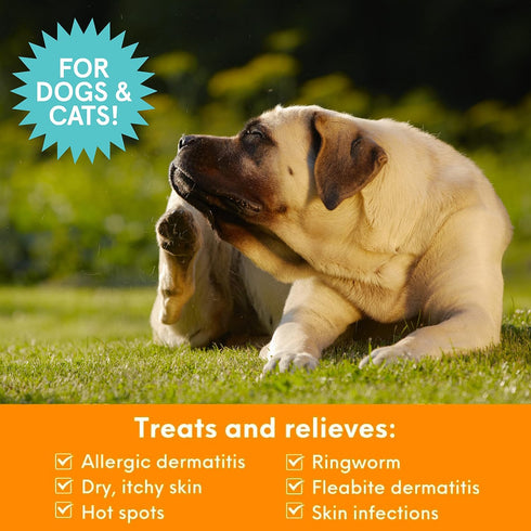 5,000 16oz Nootie Medicated Pet Shampoo, Chlorhexidine Dog Shampoo for Itch Relief, Sold in over Vet Clinics & Pet