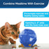 PetSafe SlimCat Interactive Feeder - Combines Play with Mealtime - Adjustable Portions - BPA-Free Plastic - Slow Feeder