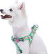 Blueberry Pet 5 Colors Soft & Comfy Step-in Paisley Flower Print Dog Harness - Chest Girth 20" - 26", Emerald Green,