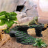 Reptile Artificial Plants, Terrarium Decorations for Aquarium Fish Tank, Amphibian Habitat Accessories, 2pcs