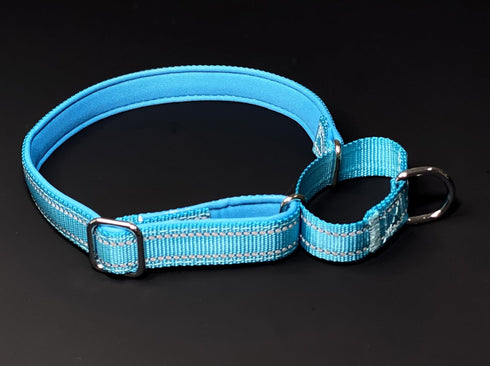 Martingale Dog Collars, Adjustable Soft Nylon Training Collar, Reflective Safety Heavy Duty No Pull Pet Collars for