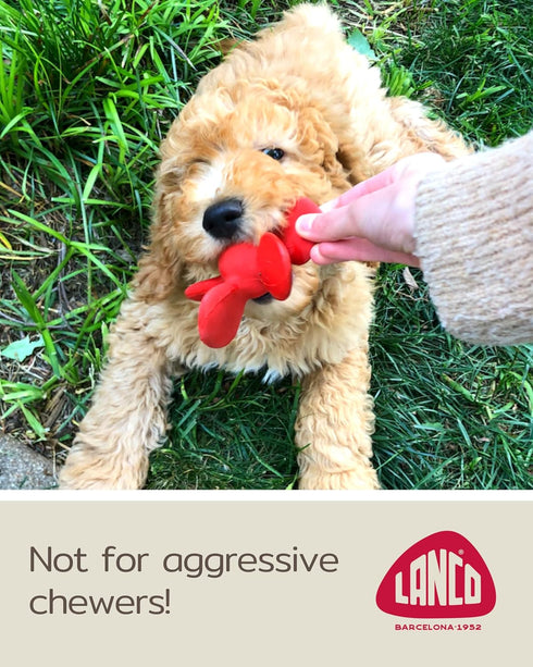 5" Puppy Toy - Squeaky Dog Toy - Soft - Natural Rubber Latex - in Diameter - Small Breeds & Puppies