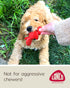 5" Puppy Toy - Squeaky Dog Toy - Soft - Natural Rubber Latex - in Diameter - Small Breeds & Puppies