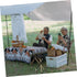 Lightweight Foldable Camping Stool - Triangular Design for Outdoor Use