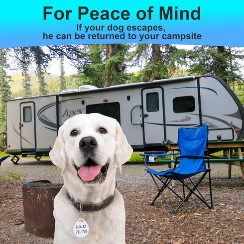 Dog Camping Gear (10pk) - Emergency Double Sided ID Tags with Key Ring - Water-Resistant Pet Tags