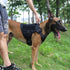 ICEFANG Tactical Dog Harness, Large Size, 2X Metal Buckle, Working Dog MOLLE Vest with Handle and No Pull Clip