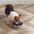 Outward Hound Fun Feeder - Stainless Steel Slow Bowl with Slow Feeder Insert, Silver Gray, Medium