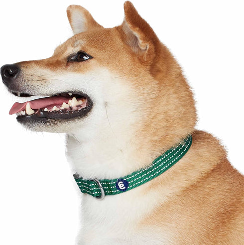 Blueberry Pet Essentials Matching Large Dog Collar, Adjustable Classic Solid Color Nylon Reflective Dark Green Collar