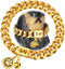 Gold Dog Chain Collar 19mm Cuban Link with Snap Buckle, 18K Gold Plated Stainless Steel for Puppy Small Medium Large