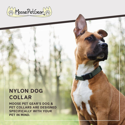 Classic Dog Collar – Adjustable Pet Collars, 1 Inch Wide, Large, Forest Green
