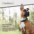 Classic Dog Collar – Adjustable Pet Collars, 1 Inch Wide, Large, Forest Green