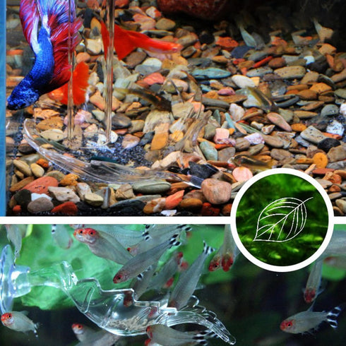 NIHUIFA Acrylic Shape Feeding Bowl for Aquariums Shrimp Crabs Fish Tanks Clear Small Feeder Tray Dish Aquascapes