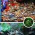 NIHUIFA Acrylic Shape Feeding Bowl for Aquariums Shrimp Crabs Fish Tanks Clear Small Feeder Tray Dish Aquascapes