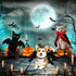 3 Piece Halloween Cat Dog Costume Set - Pet Bat Witch Vampire Cloak, Giant Imitation Spider for Dogs, Cats, Red, S
