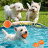 14Pcs Set New Puppy Gift Basket, Complete Premium Welcome Puppy Starter Kit and Dog Gift Basket with Dog Toys Bundle