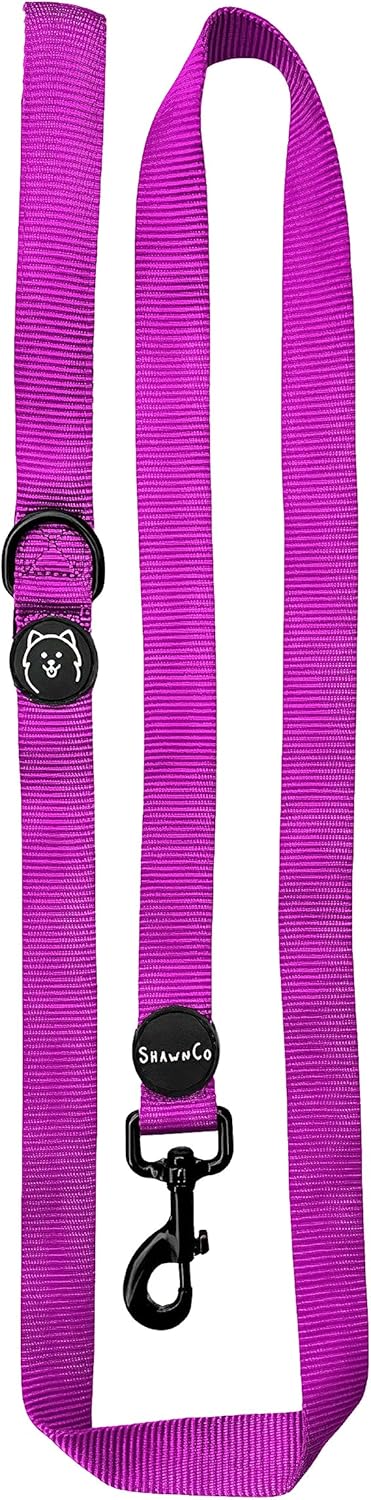 ShawnCo Dream Walk Dog Leash, Premium Nylon Pet Leash with Soft Neoprene Handle, Orchid