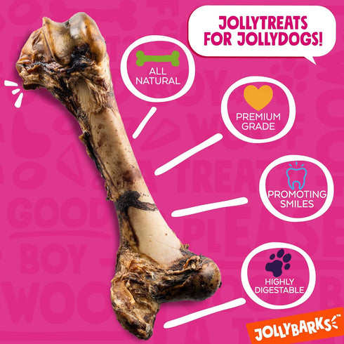 Mammoth 16" (1 Pack) Big Dog Bones for Large Dog Bone, Femur Beef Bones for Agressive Chewers, Natural Giant Dog Bone