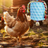 MinrzPet Chicken Coop Accessories, Chicken Beak Grinding Calcium Stone with Bell, Chicken Toys for Coop, Enrichment