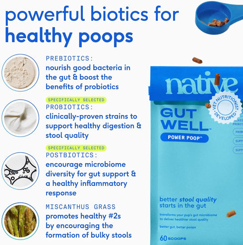 60 Native Pet GutWell Power Poop - Digestive Support & Fiber for Dogs - Promotes Healthy Stools, Supports Balanced