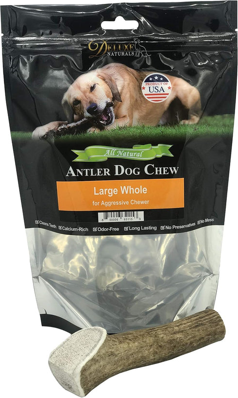 Elk Antler Chews for Dogs - Naturally Shed USA Collected A-Grade Premium Elk Antler Dog Chews, Single Pack Large Whole
