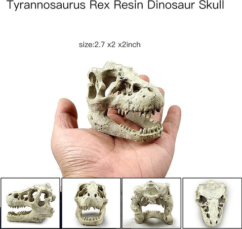Desert Reptile Decor Skull Fish Tank Decorations Bearded Dragon Accessories Desert Reptile Decor Bearded Dragon Decor, Snake Tank Decor (human + Dinosaur) by AWXZOM