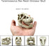 Desert Reptile Decor Skull Fish Tank Decorations Bearded Dragon Accessories Desert Reptile Decor Bearded Dragon Decor, Snake Tank Decor (human + Dinosaur) by AWXZOM