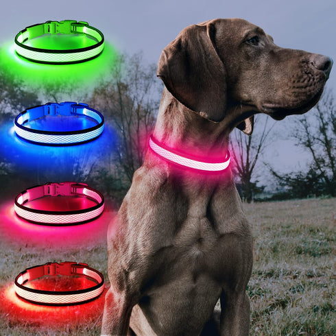 BSEEN Light Up Dog Collars - Adjustable Reflective LED Dog Collar, Rechargeable Camping Gear for Small Medium Large