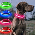 BSEEN Light Up Dog Collars - Adjustable Reflective LED Dog Collar, Rechargeable Camping Gear for Small Medium Large