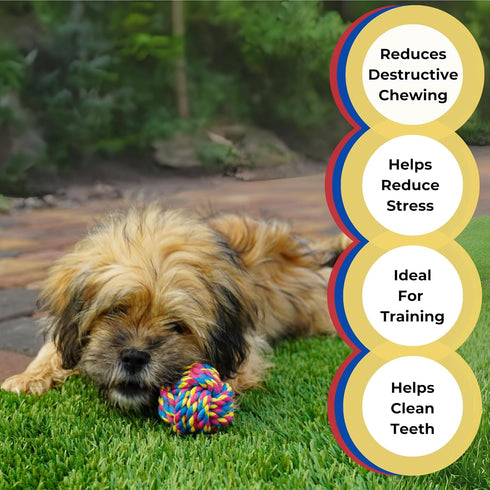 Small Puppy Dog Rope Toys for Play, Chew, Teething, and Boredom - for Smaller Dogs (6-Pack)