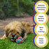 Small Puppy Dog Rope Toys for Play, Chew, Teething, and Boredom - for Smaller Dogs (6-Pack)