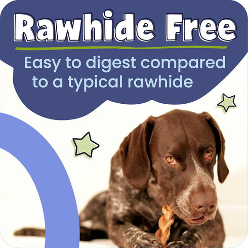 5-8" 100% 8 oz Packaging Pawstruck Natural Bully Sticks for Dogs - Best Long-Lasting, Rawhide-Free, Low Odor Dental