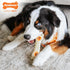 Nylabone Pop-in Dog Treat Toy Refills - All-Natural Dog Treats for Treat Dispensing Toys, Chicken Flavor