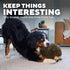 12" 8.5" 9" Outward Hound Hedgehogz Stuffed Dog Toy Soft Plush Hedgehog, Grunts & Squeaks, XL, x x