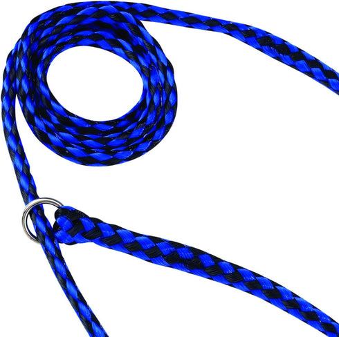 Guardian Gear Animal-Control O-Ring Slide Leads, 5' Long x ?" Wide, 12-Pack, Assorted Colors