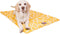 42" Fusion Yellow Crate Dog Bed Mat By Majestic Pet Products