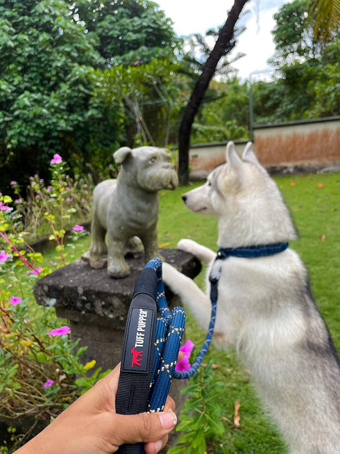 Sentry Heavy Duty Rope Dog Leash - 6 Foot Reflective Leash with Lockable Metal Carabiner for Medium & Large Dogs