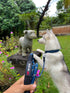 Sentry Heavy Duty Rope Dog Leash - 6 Foot Reflective Leash with Lockable Metal Carabiner for Medium & Large Dogs