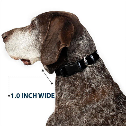 Buckle-Down Dog Collar with Plastic Clip, Black Panther Tooth Necklace, Multi Color, 1.5" Wide, Fits 18-32" Neck