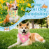 Shyyween 100 Pieces Paw Print Dog Bandanas Bulk Paw Bandanas for Dogs Winter Soft Bibs Adjustable Triangle Doggie