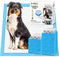 CROCI Wee Wee Pads for Dogs - 36x36in Extra Large Puppy Dog