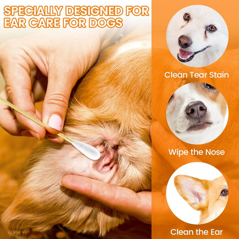 200 PCS Large Cotton Swabs in Storage Box, 6 inch Dog Ear Cleaning Swabs with Bamboo Handle for Pet Care