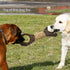 Vehomy Dog Squeaky Toy, Gorilla Shaped Plush Toy for Aggressive Chewers, Tug of War Interactive Toy for All Dogs