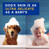 16 oz, DOUXO Skin & Coat SPA - Ultra-Safe Oatmeal Dog Conditioner, fl Safely Detangles, Moisturizes, Leaves The Coat